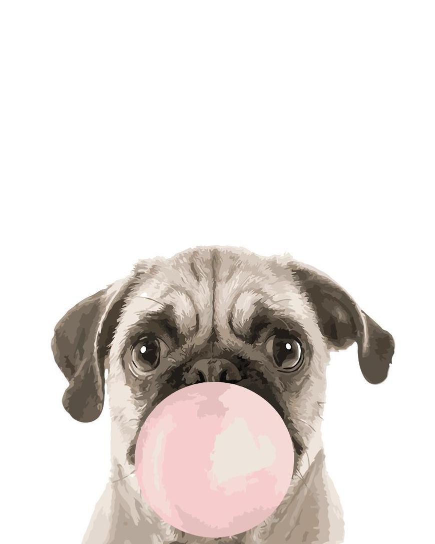 Tier Malen Nach Zahlen YM214