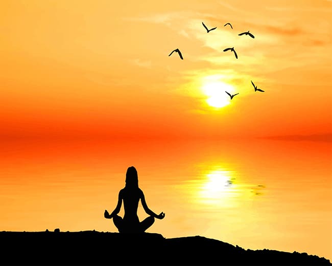 Porträt Malen nach Zahlen YOM5674