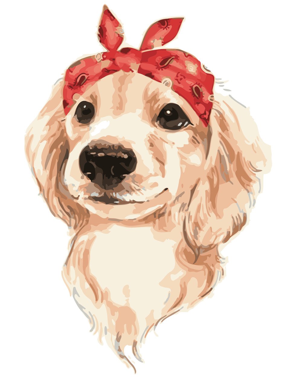 Hund & Katze Malen nach Zahlen ZC3029