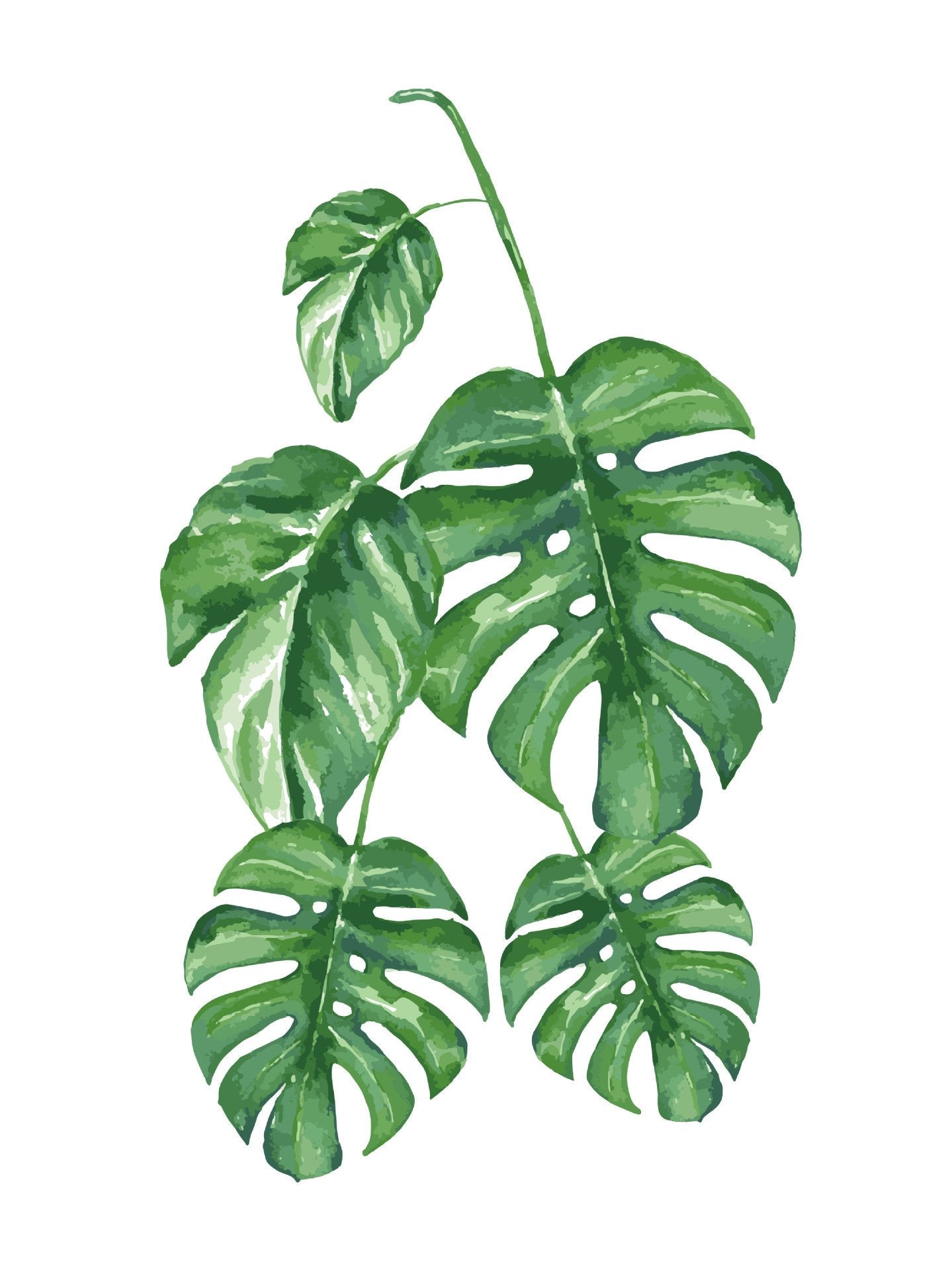 Blume Malen nach Zahlen vm94673