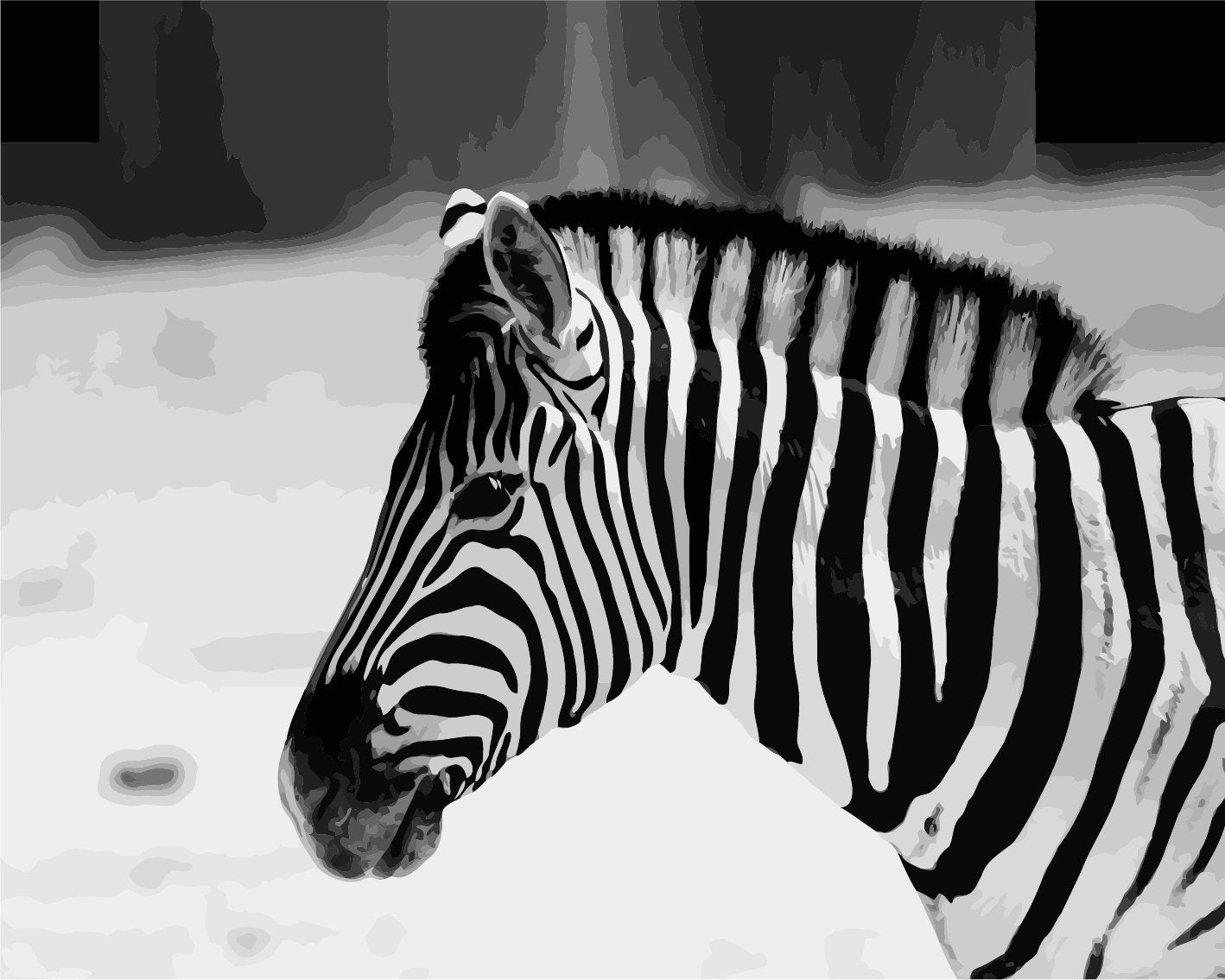 Zebra Malen Nach Zahlen A378