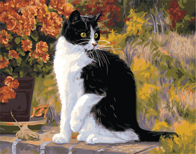 Hund & Katze Malen nach Zahlen GX21870