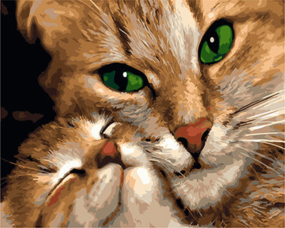 Hund & Katze Malen nach Zahlen GX22852