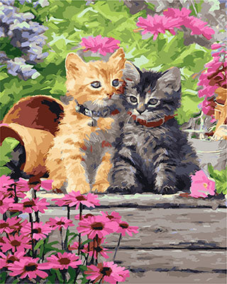 Hund & Katze Malen nach Zahlen GX23770