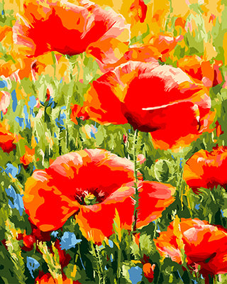 Blume Malen nach Zahlen GX24017
