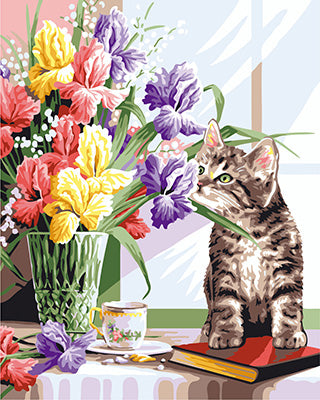 Hund & Katze Malen nach Zahlen GX24066