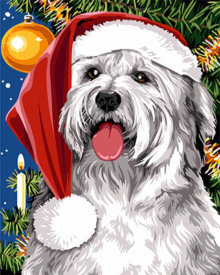 Hund & Katze Malen nach Zahlen GX24156