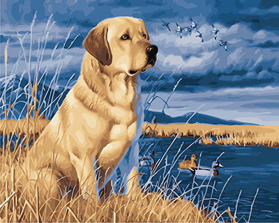 Hund & Katze Malen nach Zahlen GX24186