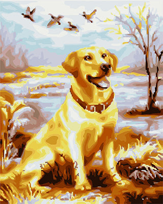 Hund & Katze Malen nach Zahlen GX24206