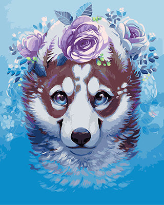 Hund & Katze Malen nach Zahlen GX24315