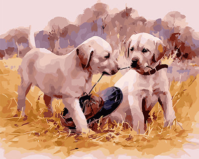 Hund & Katze Malen nach Zahlen GX24557