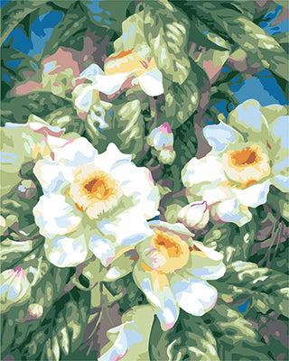 Blume Malen nach Zahlen GX24804