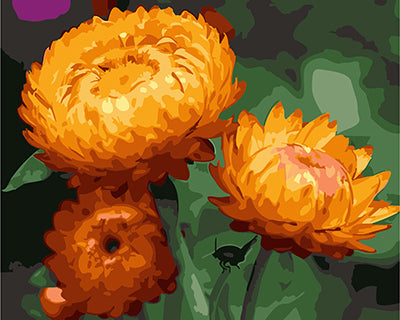 Blume Malen nach Zahlen GX24807