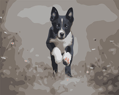 Hund & Katze Malen nach Zahlen GX24809