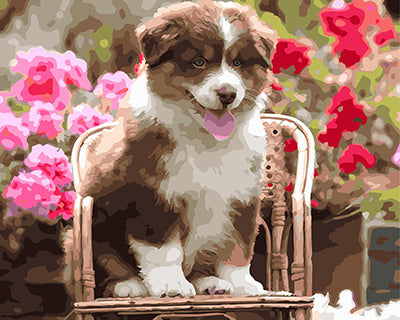 Hund & Katze Malen nach Zahlen GX25137