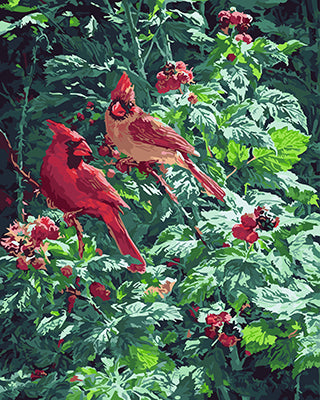 Vogel Malen nach Zahlen GX25276