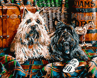 Hund & Katze Malen nach Zahlen GX25553