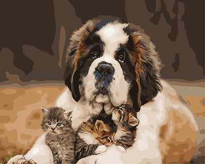 Hund & Katze Malen nach Zahlen GX25809
