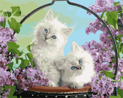 Hund & Katze Malen nach Zahlen GX26265