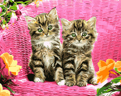 Hund & Katze Malen nach Zahlen GX26530