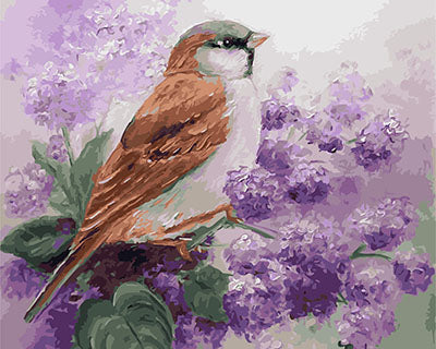 Vogel Malen nach Zahlen GX26942