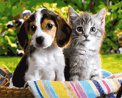 Hund & Katze Malen nach Zahlen GX27160
