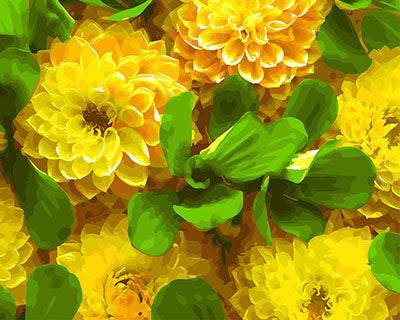 Blume Malen nach Zahlen GX27272