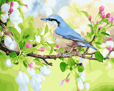 Vogel Malen nach Zahlen GX27629