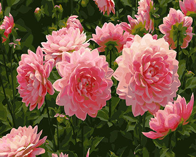Blume Malen nach Zahlen GX27950