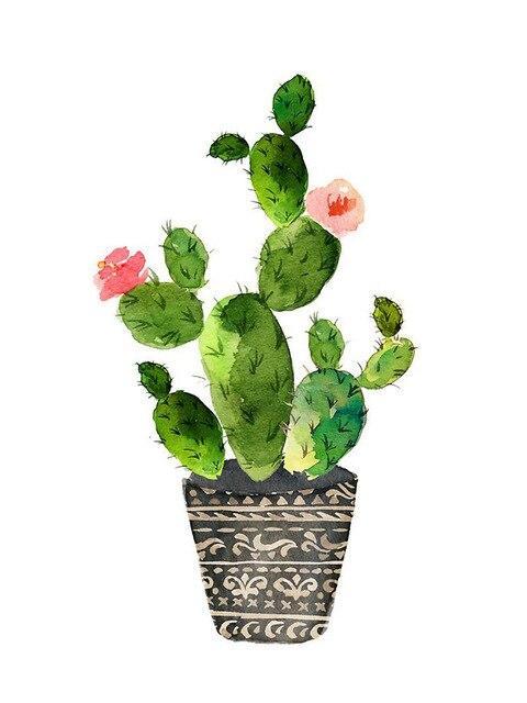 Blume Kaktus Malen Nach Zahlen Für Anfänger  HQD1214
