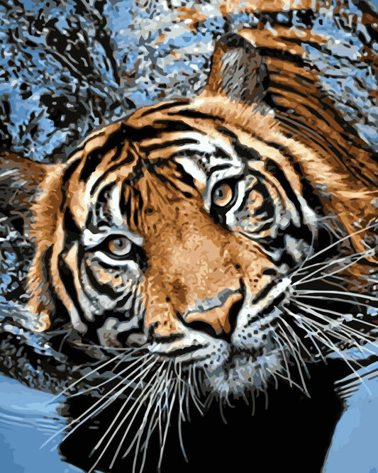 Tier Tiger Malen Nach Zahlen Für Erwachsene HQD1240