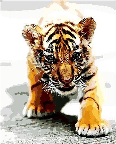 Tier Tiger Malen Nach Zahlen Für Erwachsene HQD1262
