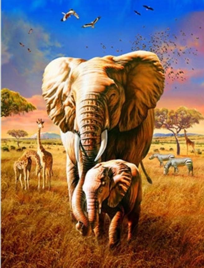Tier Elefant Malen Nach Zahlen Für Erwachsene HQD1275
