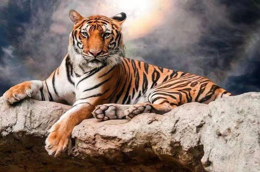 Tier Tiger Malen Nach Zahlen Für Erwachsene OTG6116