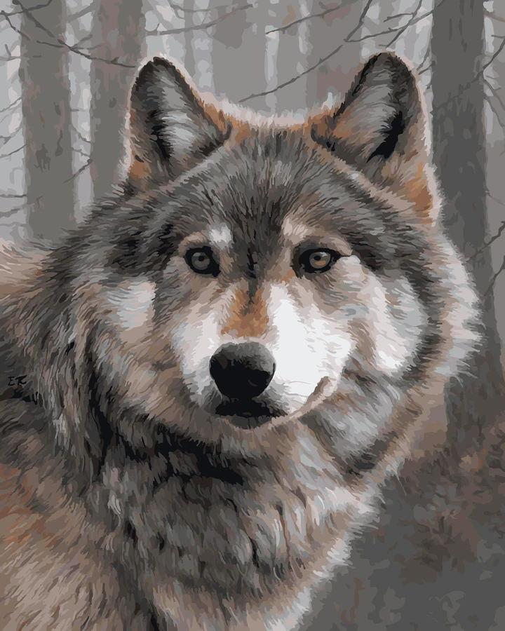 Tier Wolf Malen Nach Zahlen Für Erwachsene OTG6207