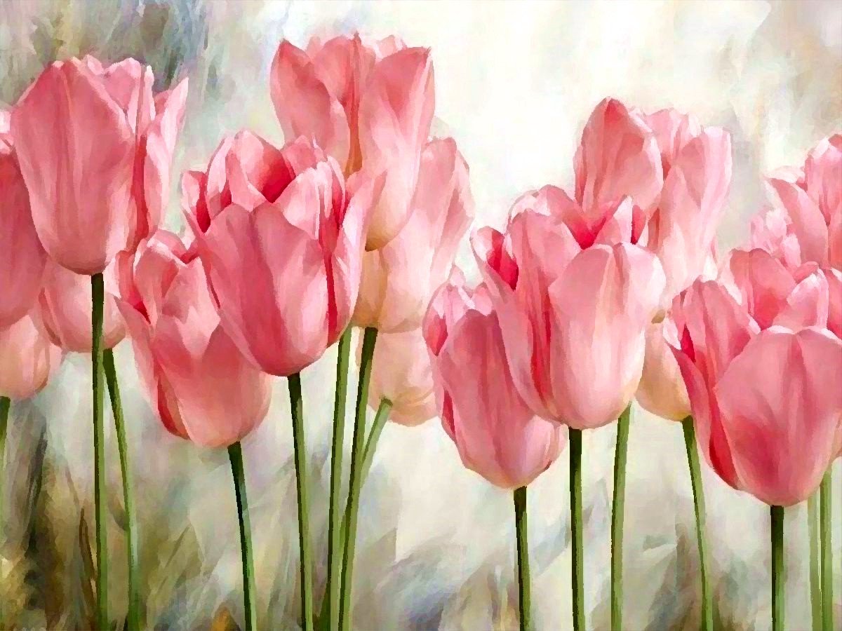 Blume Tulpe Malen Nach Zahlen Für Erwachsene PH9648