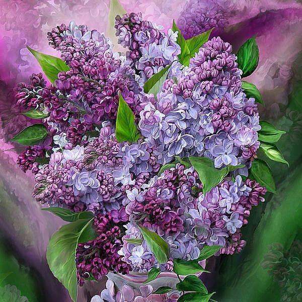 Blume Violet Malen Nach Zahlen Für Erwachsene RSB8261