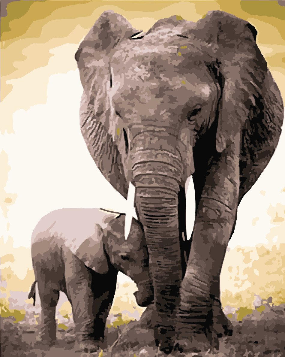 Tier Elefant Malen Nach Zahlen Für Erwachsene HQD1384