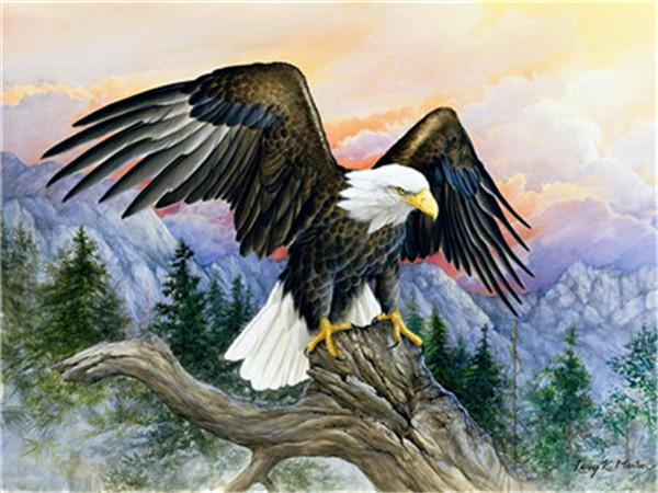Eagle Malen Nach Zahlen Für Erwachsene Y5383