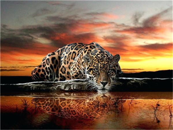 Tier Leopard Malen Nach Zahlen Für Erwachsene Y5403