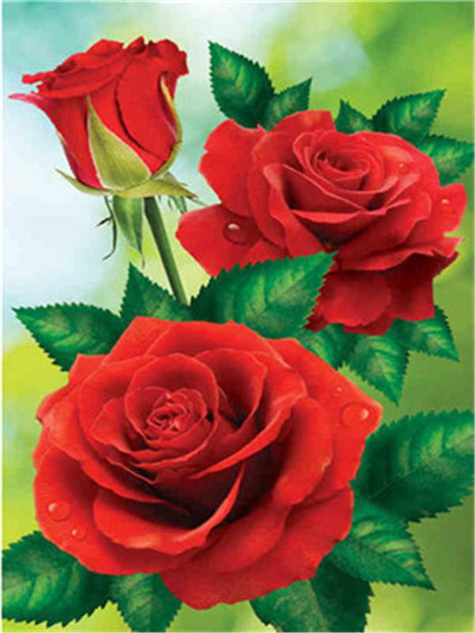 Blume Rose Malen Nach Zahlen Für Erwachsene Y5434