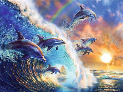 Tier Dolphin Malen Nach Zahlen Für Erwachsene Y5743